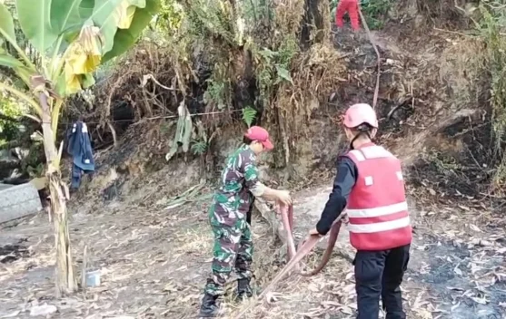 Aksi sigap Satbrimob Polda Kaltim padamkan kebakaran lahan di Balikpapan
