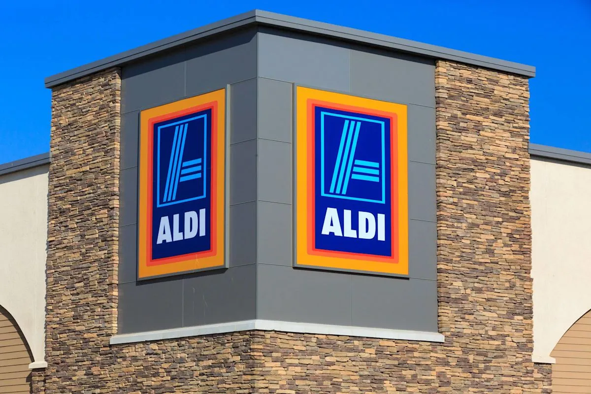 Tempat tidur kucing berbentuk buah ek dari Aldi sebagai dekorasi musim gugur