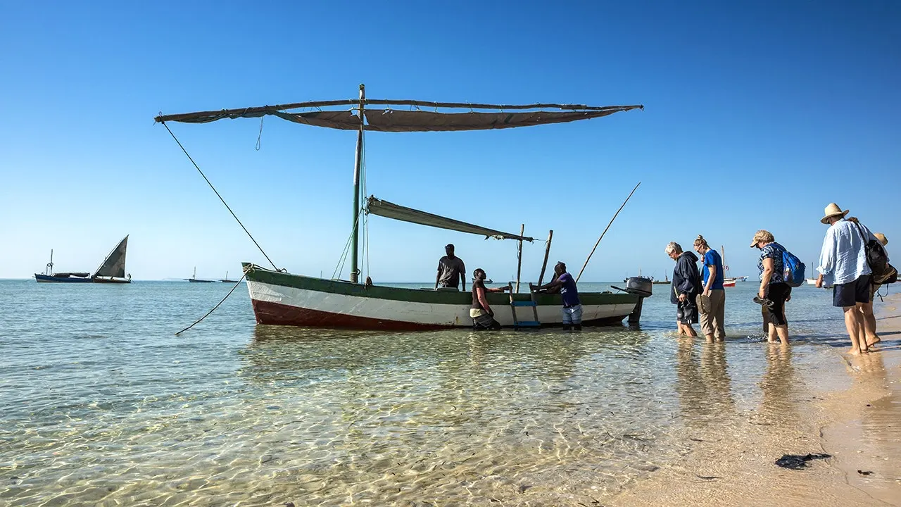 Pemandangan alam liar dan kawasan safari di wilayah konservasi Afrika