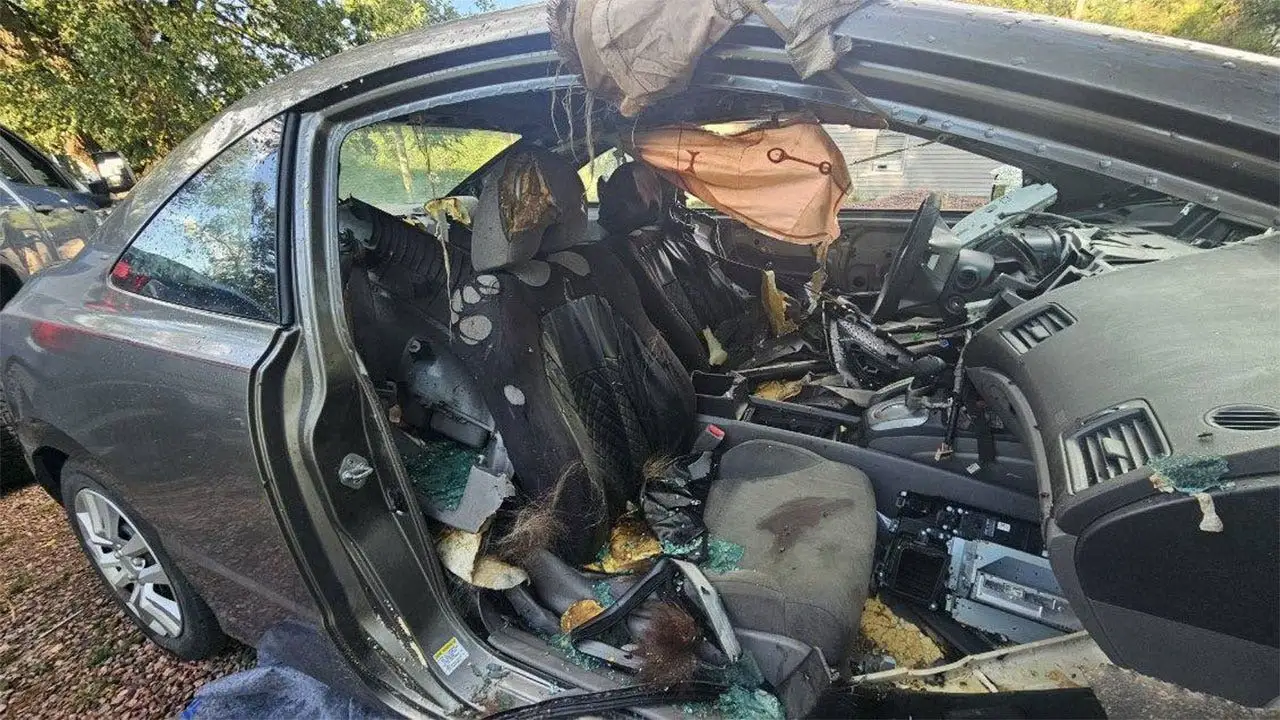 Kondisi interior mobil rusak parah setelah beruang hitam terjebak di Colorado Springs