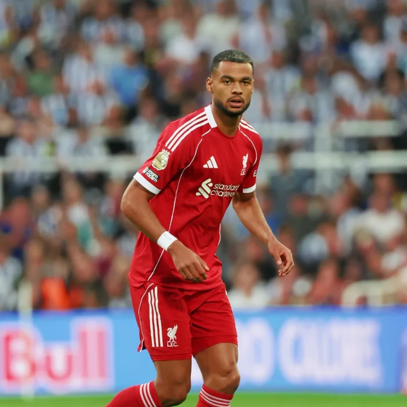 Cody Gakpo berpotensi bertahan di Liverpool meski diminati Tottenham Hotspur pada bursa transfer 2026