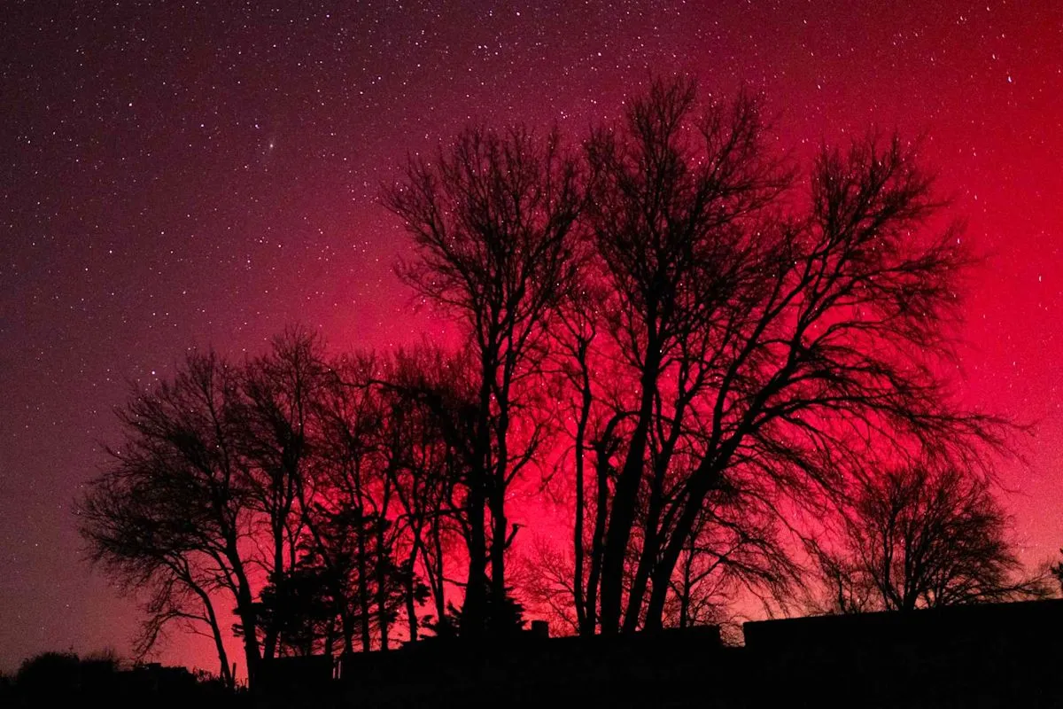 Fenomena aurora borealis kembali terlihat di langit utara Amerika Serikat