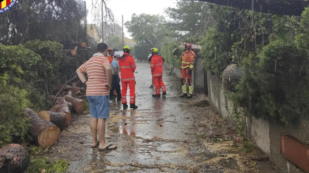 Fenomena El Nino terkuat dalam seabad picu badai ekstrem dan ancaman suhu panas