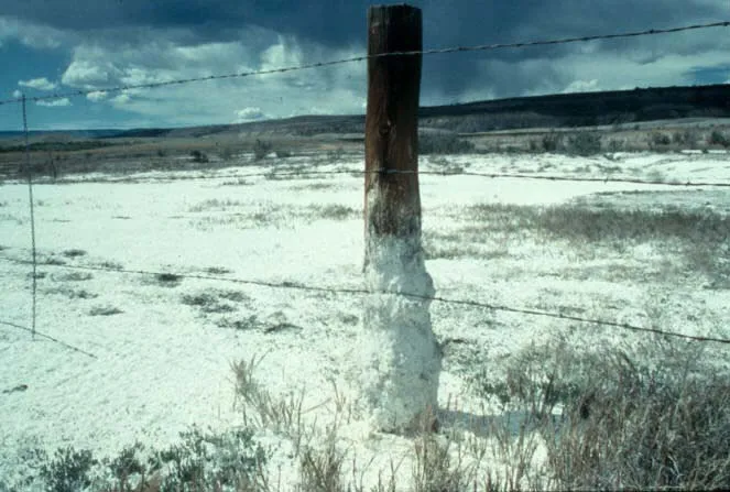 Rudolf Clausius merumuskan hukum termodinamika dan memperkenalkan konsep entropi dalam fisika