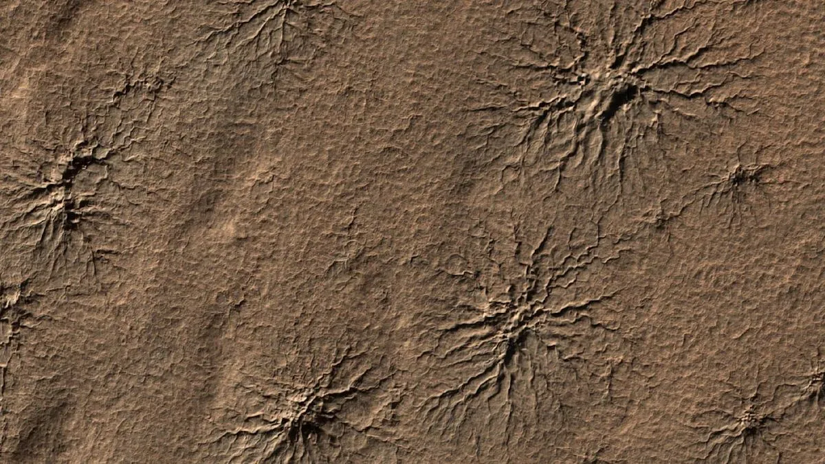 Ilmuwan NASA berhasil merekrut formasi laba-laba geologis Mars di Bumi