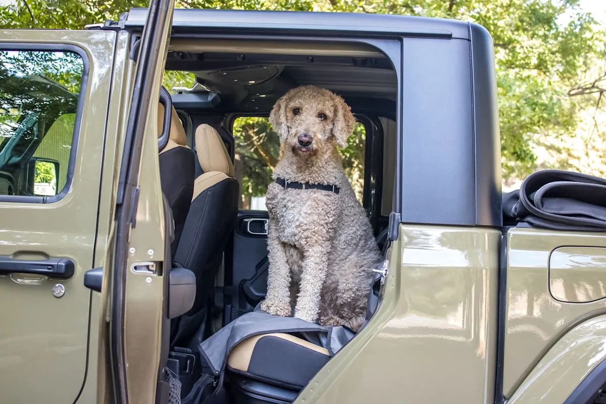 Jeep Gladiator diuji untuk kenyamanan dan durabilitas bagi pemilik hewan peliharaan