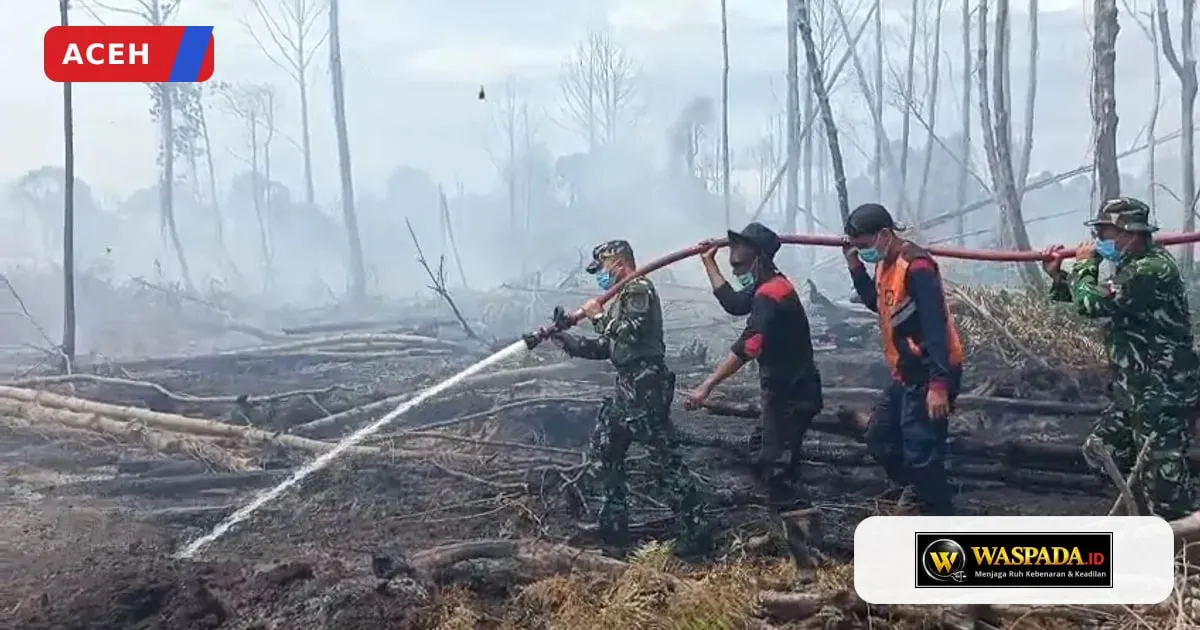 Karhutla Bakongan di Aceh Selatan makin mengganas lalap 19 hektare lahan