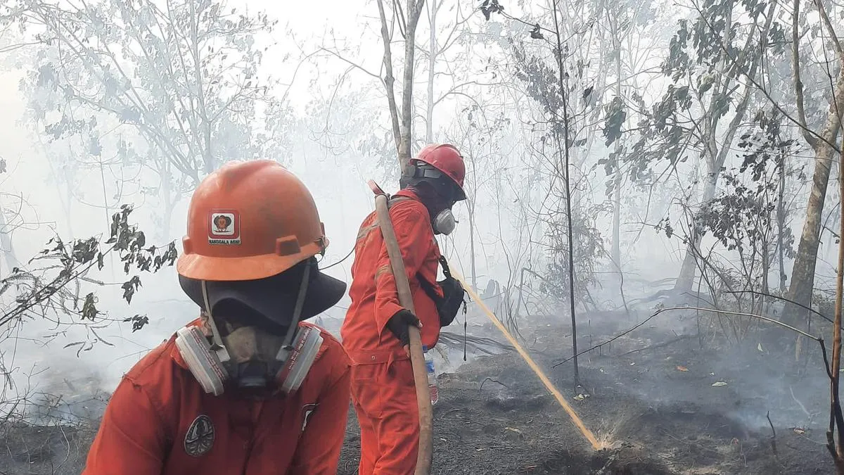 Pemerintah optimalkan operasi modifikasi cuaca dan armada udara untuk padamkan kebakaran hutan di Kalimantan