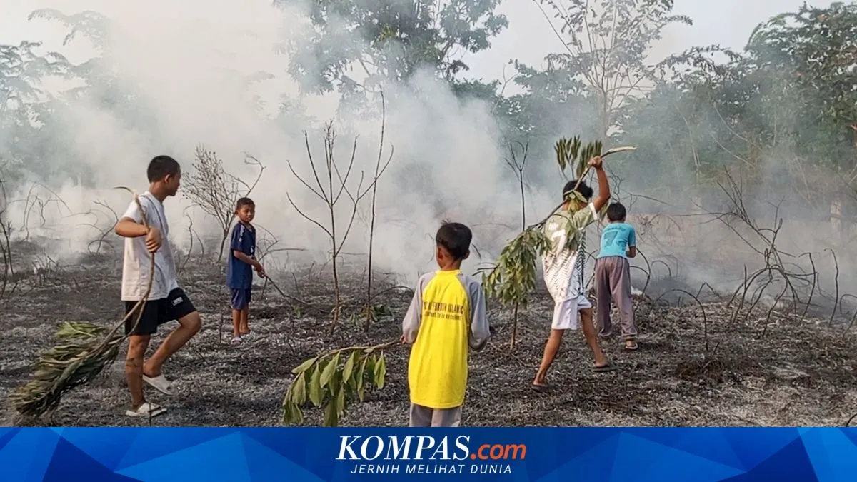 Kemenhut usut 22 kasus karhutla dan pastikan berkas korporasi P-21