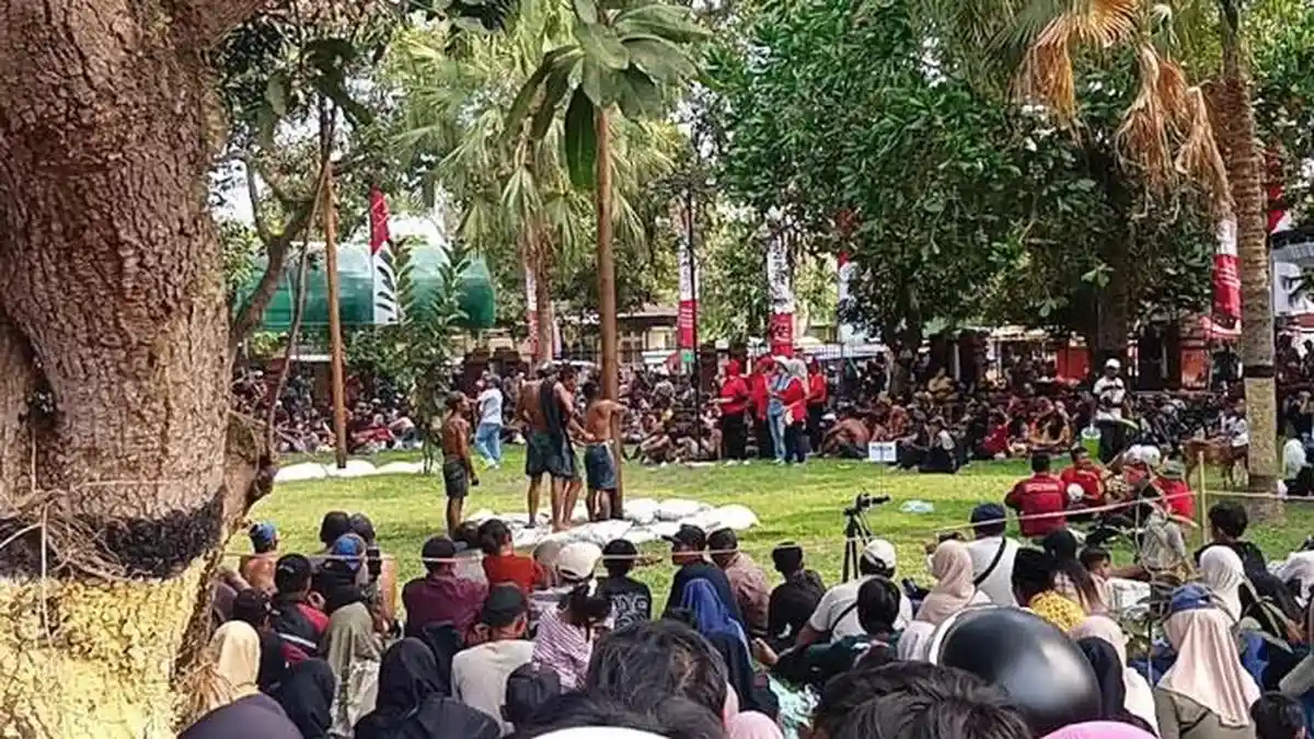 Ratusan warga Trenggalek meriahkan tradisi lomba panjat pinang tahunan