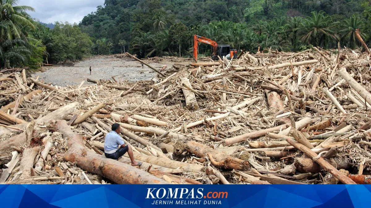 Mahkamah Konstitusi pangkas syarat status bencana nasional jadi tiga indikator