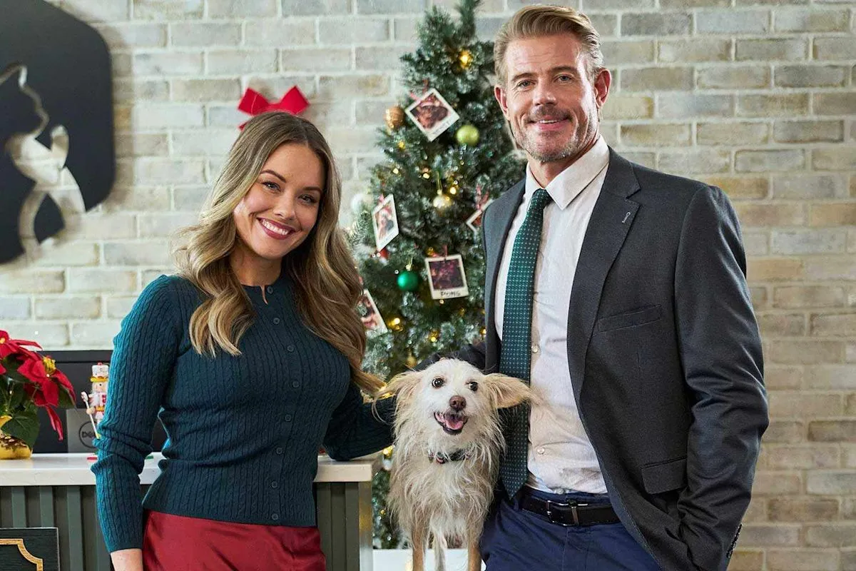 Niffy anjing penyelamatan yang kini jadi bintang utama film Natal A Christmas Rescue