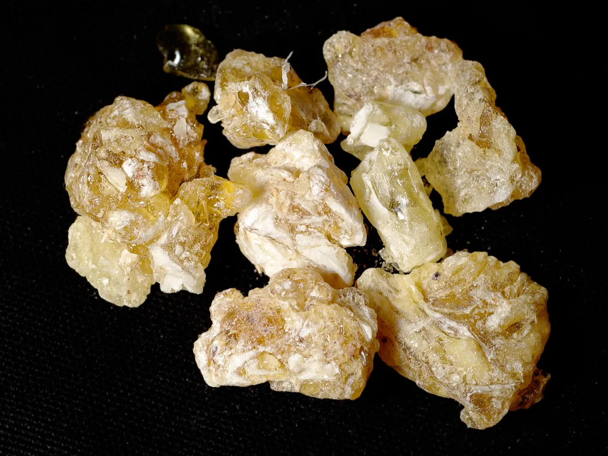 Frankincense adalah getah aromatik berharga dari pohon Boswellia yang telah diperdagangkan selama ribuan tahun