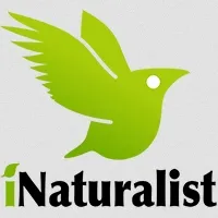 iNaturalist menjadi standar platform global untuk pengamatan alam dan urun-daya ragam hayati