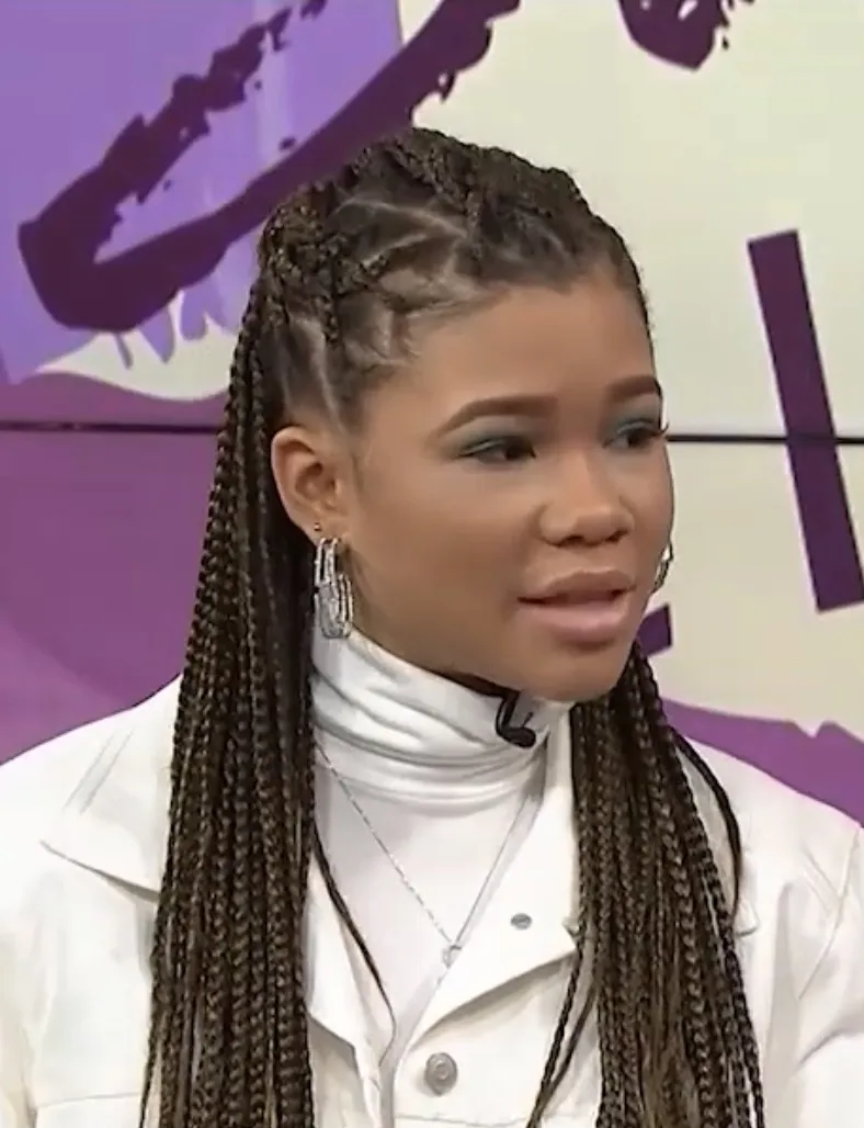 Storm Reid sukses meraih penghargaan Primetime Emmy Award dan membintangi berbagai film populer Hollywood