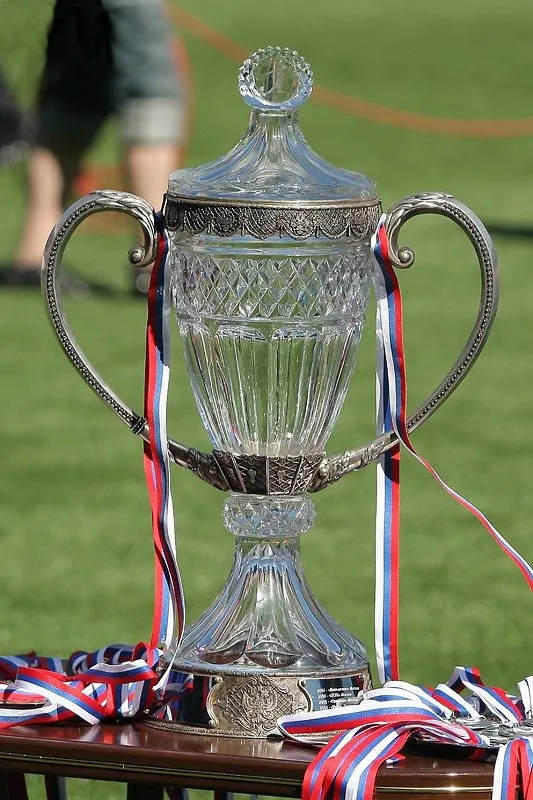 Russian Cup menjadi ajang bergengsi bagi klub-klub profesional dan amatir di Rusia untuk memperebutkan gelar juara