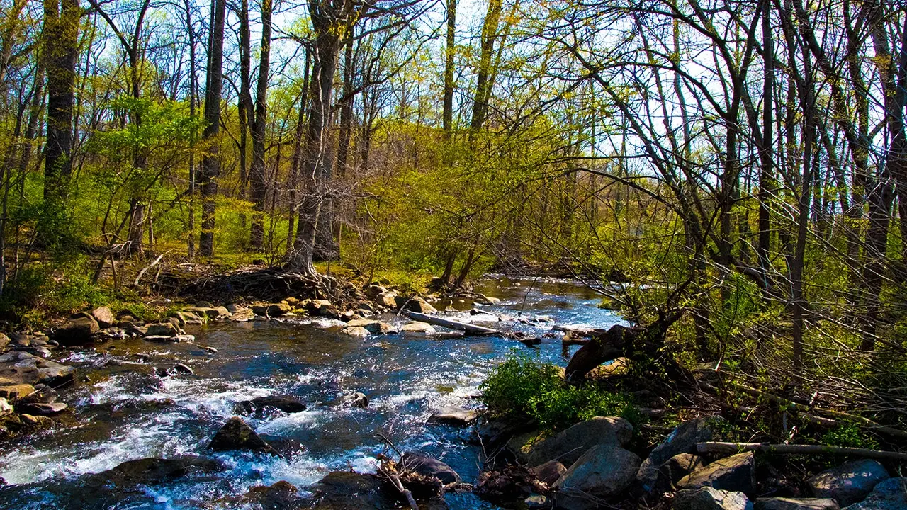 Cunningham Falls State Park di Maryland ditutup sebagian akibat serangan berang-berang rabies