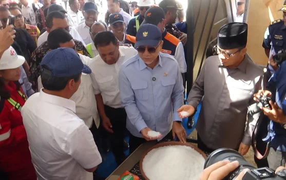 Pemerintah targetkan penghentian total impor garam pada 2029 demi wujudkan kemandirian nasional