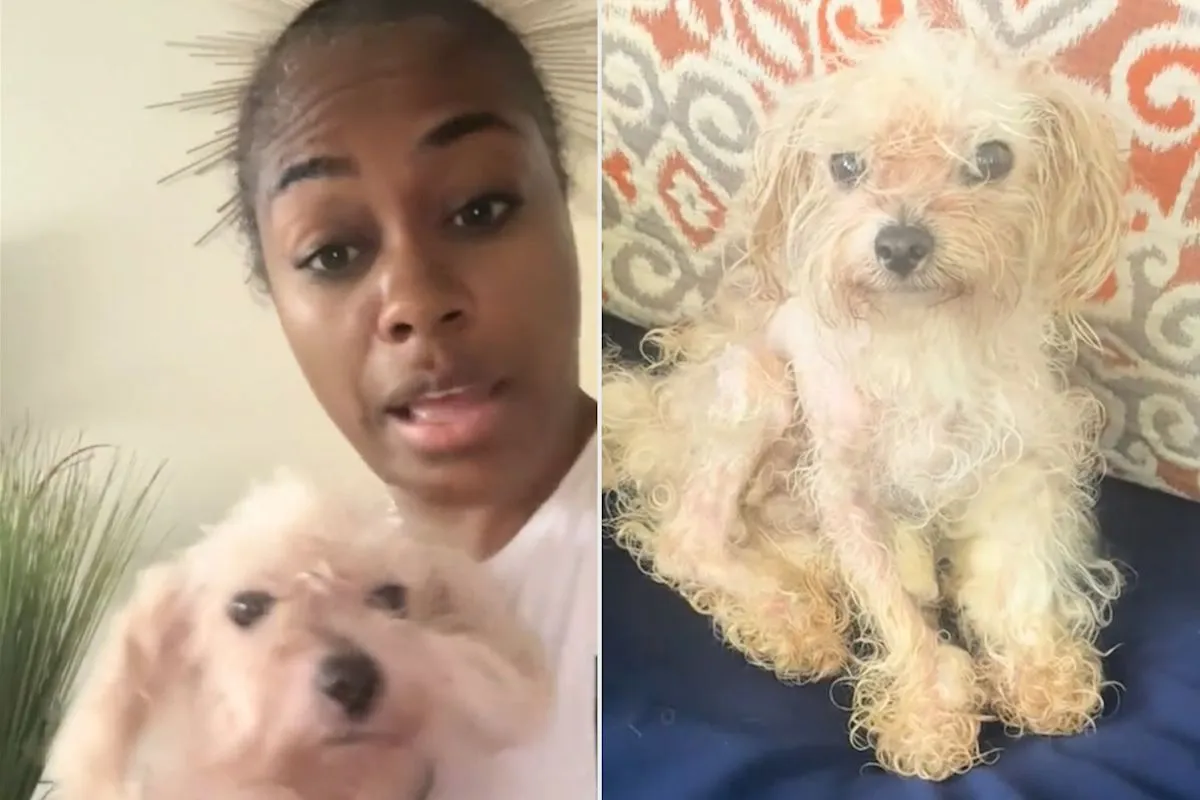 Summer Frazier bersama anjing penyelamatannya Dru Hill di Georgia