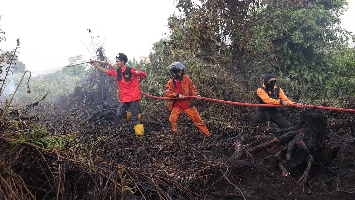 Titik panas kebakaran hutan di Kalimantan melonjak tajam hingga empat kali lipat dalam sehari