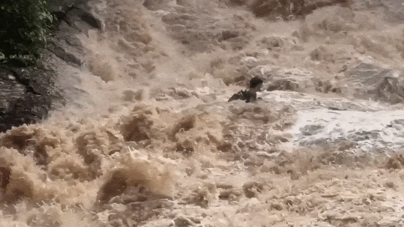 Turis terseret arus deras saat terjadi banjir bandang di Air Terjun Mae Sa Thailand