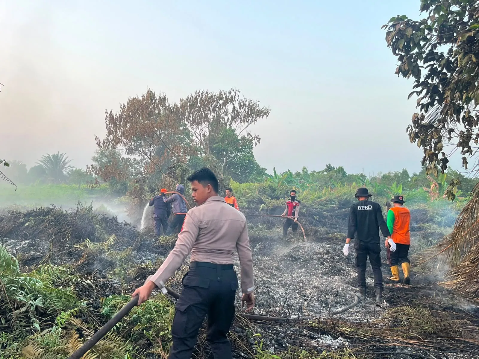 Optimalisasi videotron di Berau berpotensi mendongkrak PAD daerah dan memperkuat komunikasi publik